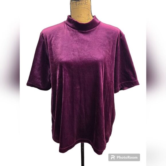Teddi Vintage Wild Thing Mock Neck Velour Velvet Short Sleeve Top Sz 2X Merlot - Picture 1 of 9